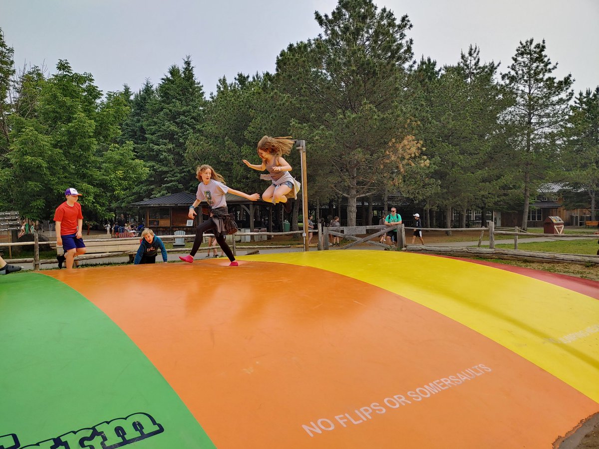 Victoria Wang tweet media