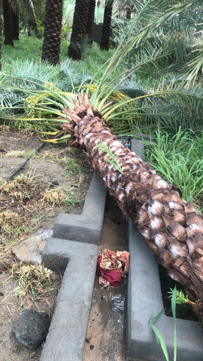 الأضرار الي صارت بعد الامطار اليوم وادي المعيدن ولايه ينقل