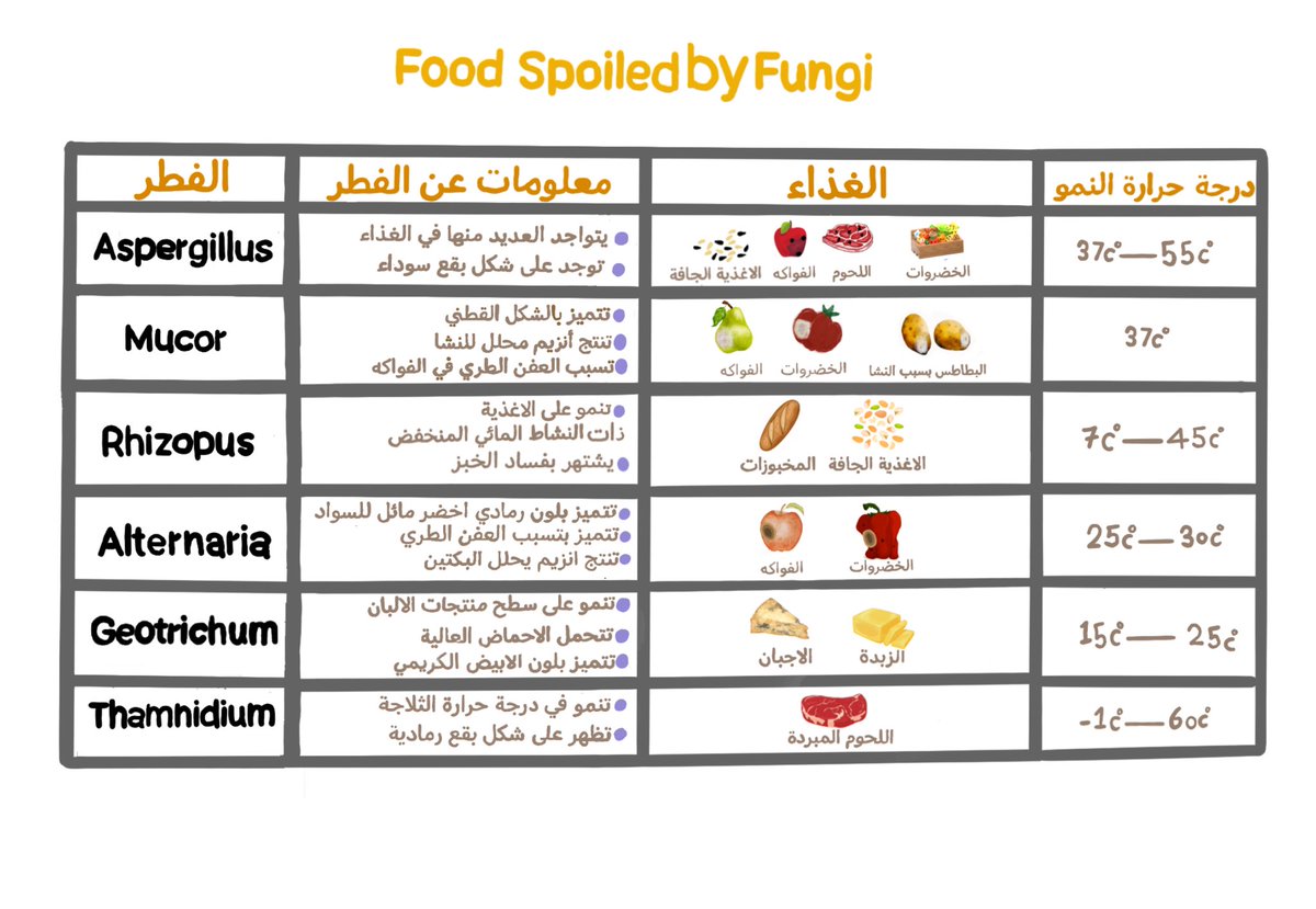 بعض الفطريات المسببة للفساد الغذائي