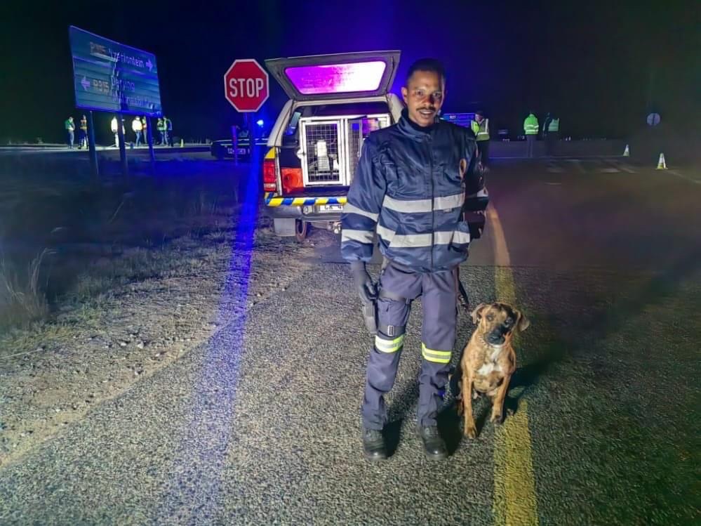 🚨 The Swartland K-9 and Rural Safety Units in the DA-run Western Cape recently flexed their muscles in Malmesbury, Kalbaskraal and Abbotsdale - taking more criminals off the streets.

Arrests were made for:

💊 Dealing in drugs

🔫 Dangerous weapons

💳 Fraudulent activities…