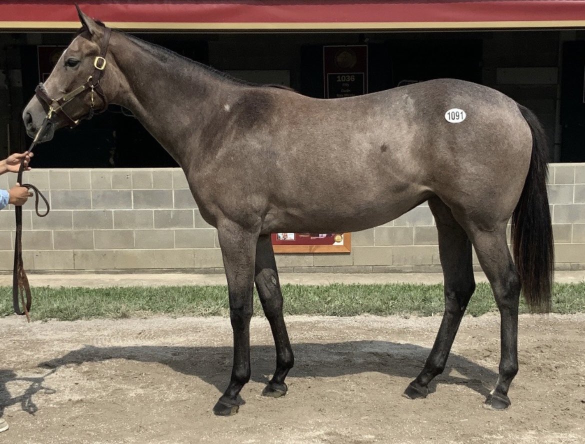 Jaime Roth on Twitter: