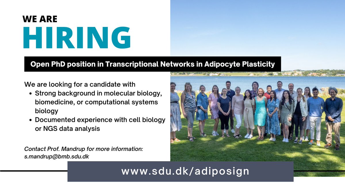 We are looking for an ambitious PhD student to work on transcriptional networks in adipocytes. Apply to become part of our highly international and collaborative environment in ADIPOSIGN.
Apply at sdu.dk/da/service/led…
Please RT!
@NATsdu #phdpositions #sciencejobs #Genomics