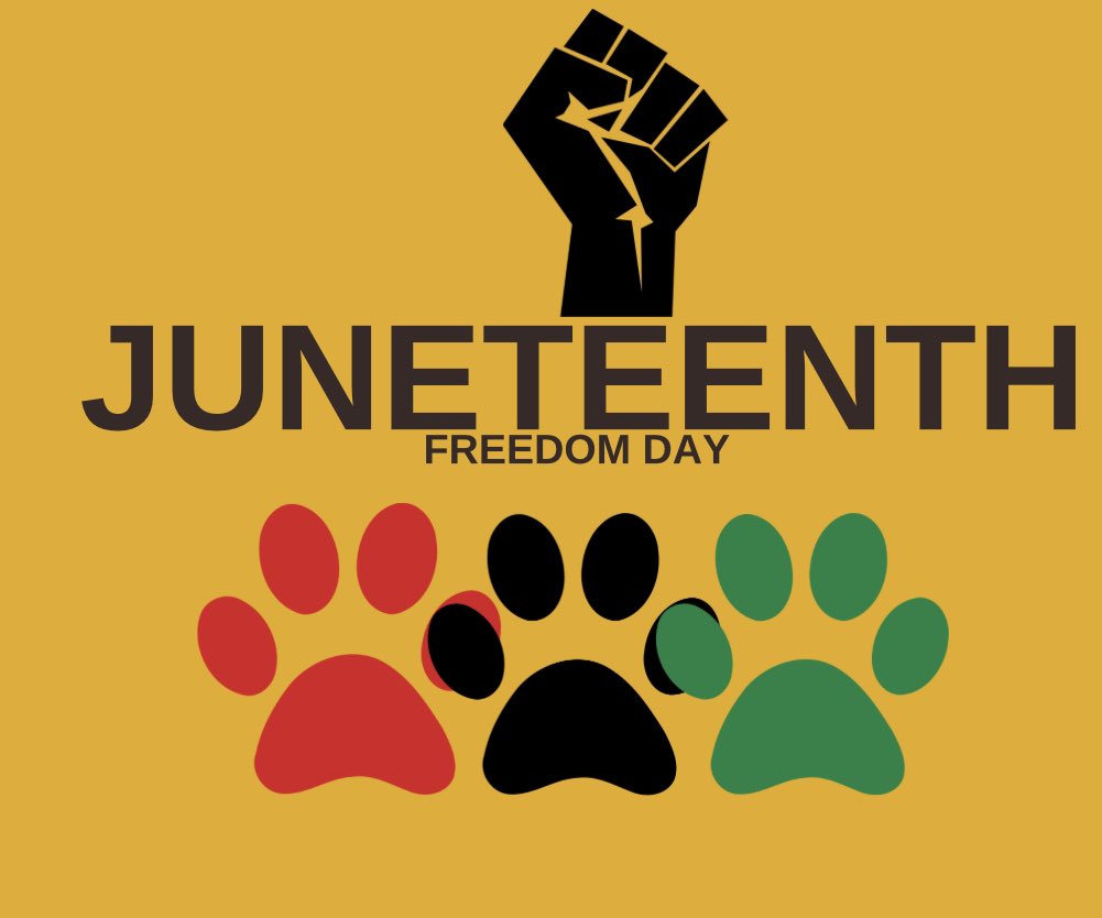 “It's an opportunity to both look back but to look ahead to make sure that that notion of freedom and the fragility of it is always protected and celebrated.” —Lonnie Bunch #Juneteenth2023 #blm #blackexcellence #juneteenth