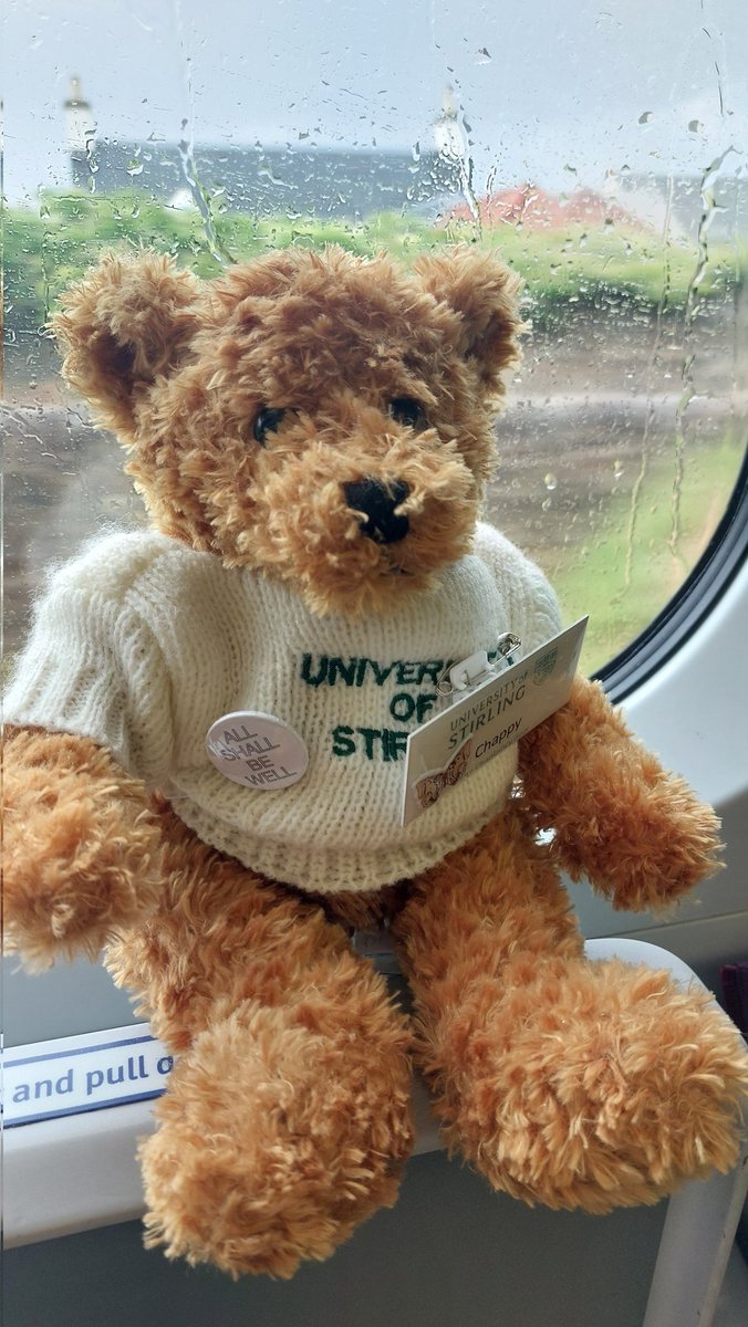 Touch the earth lightly tweet media