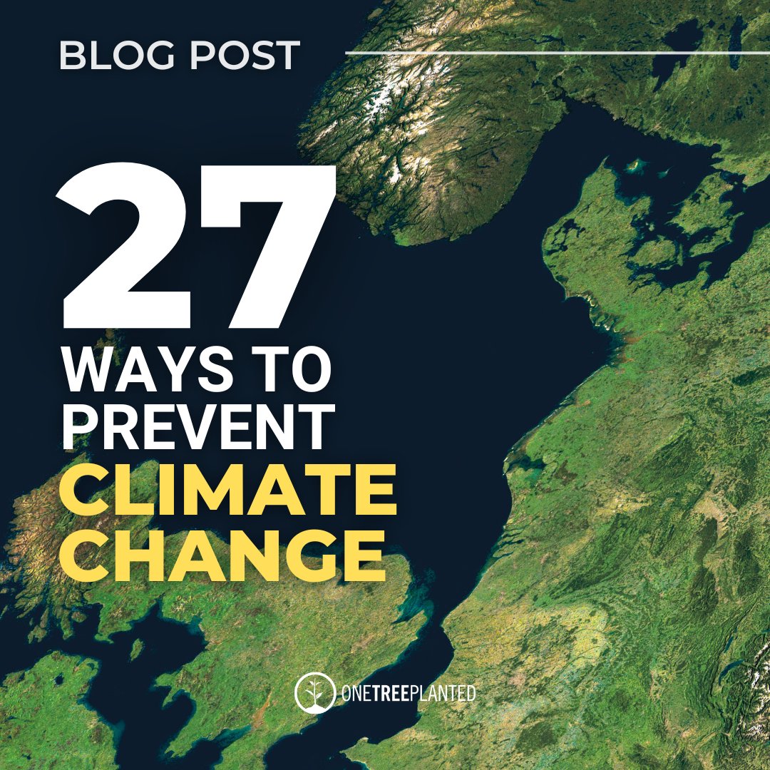 Want to help the #climatecrisis? 🔥 🌍

From using renewable energy sources to greening up your commute, there are many actions you can take to make a difference today! 

Learn the best ways you can help fight #climatechange👇