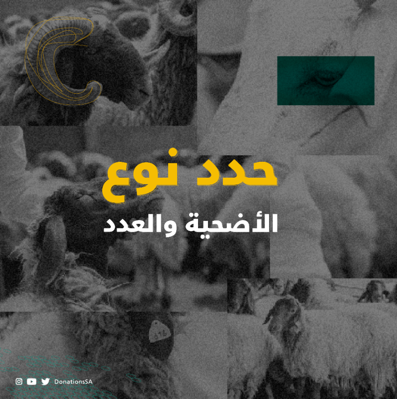 DonationsSA's tweet photo. داخل المملكة أو خارجها وكّل منصة #تبرع لإخراج أضحيتك وإيصالها لمستحقيها و #لك_أجرهم