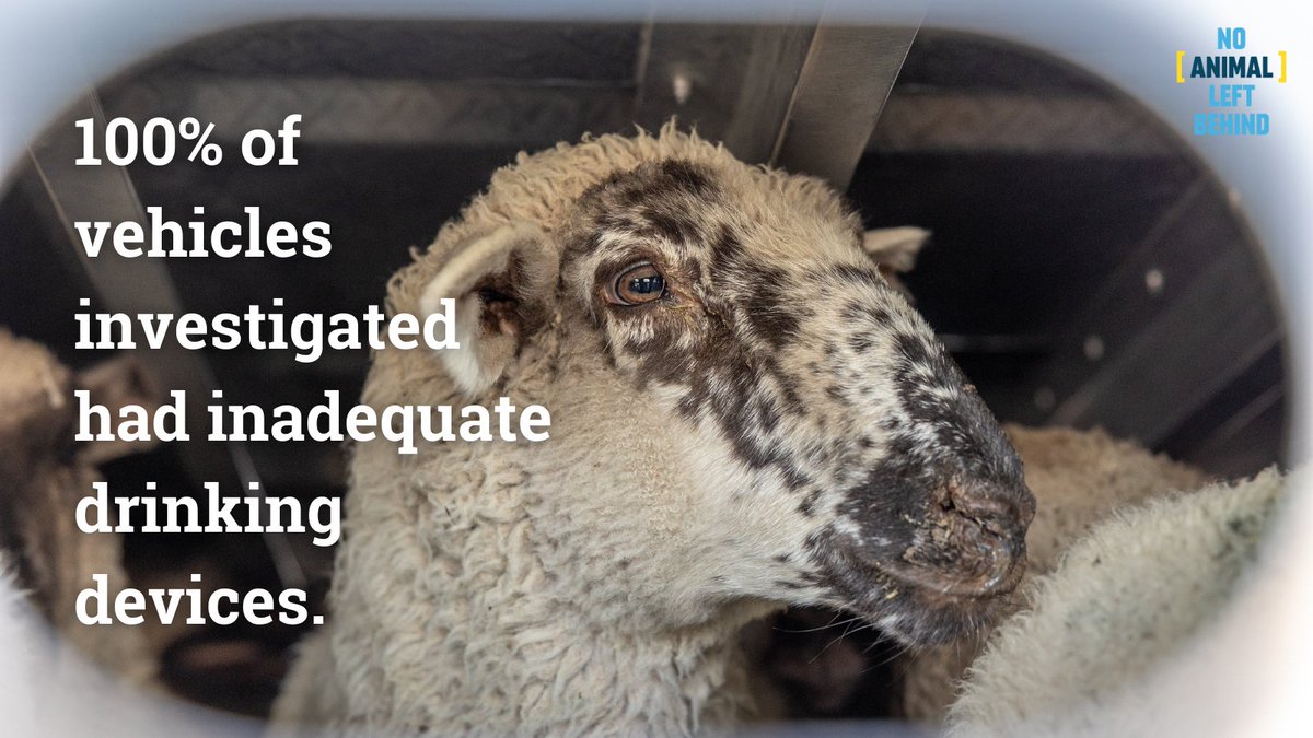 Eurogroup For Animals tweet media