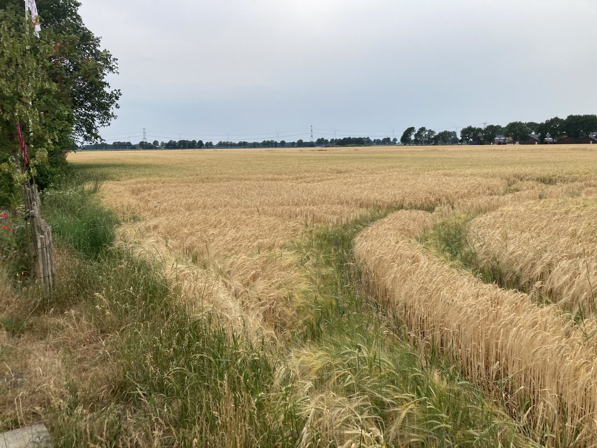 ellenrombout's tweet photo. Hoorde vanochtend in #TerApel dat mensen hun #reservering op #campings afzeggen omdat zij denken dat het onveilig is ivm het #AZC aldaar. Ter Apel en wijde omgeving zijn prachtig. Het dorp heel rustig en vriendelijk. Heel treurig dat mensen een heel verkeerd beeld hebben. Gaan! https://t.co/a7lcaobBuW