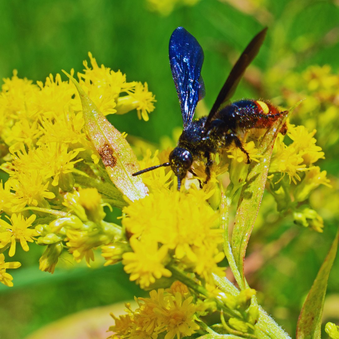 Perfect Earth tweet media