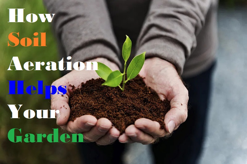 farmhydroponics's tweet photo. Signs your garden soil needs aeration

https://t.co/Nvoc0Jf5rF https://t.co/ZJF6Vsn0PW