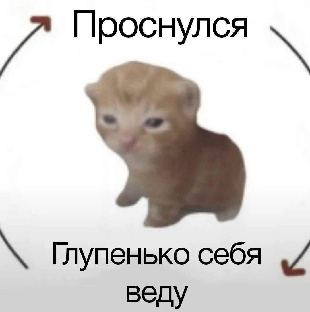 RussianMemesLtd's tweet photo. waking up

being stupid https://t.co/3qeicA6QYh