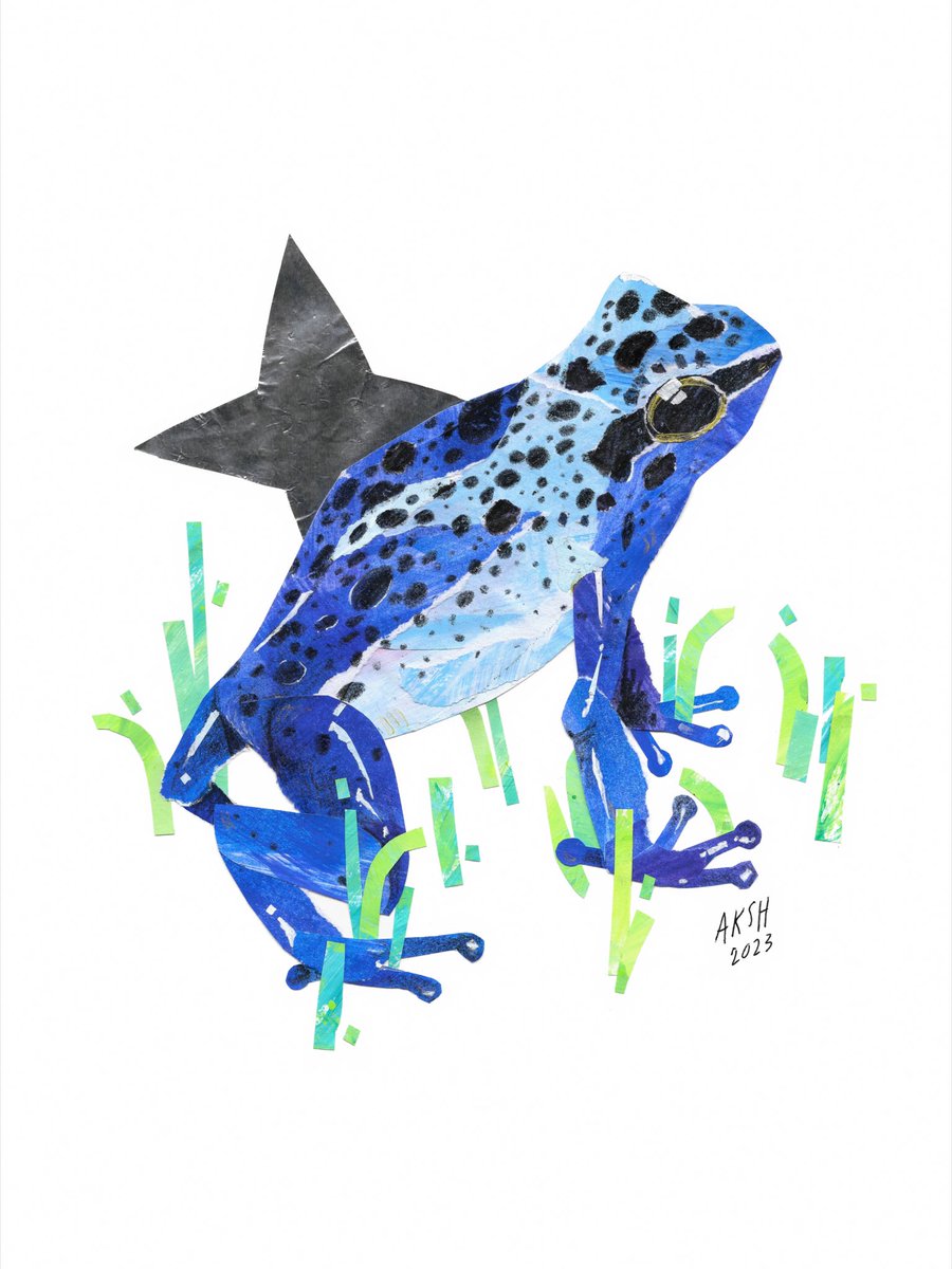 aksharonie's tweet photo. Croak croak collage🐸
#collageart #mixedmedia #scannedart #froggy https://t.co/Yp5d2dpBi9