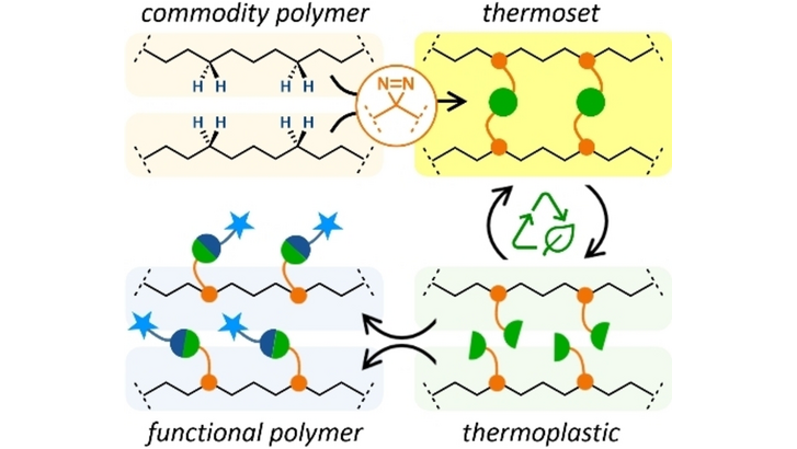 angew_chem's tweet photo. A Cleavable Crosslinking Strategy for Commodity Polymer Functionalization and Generation of Reprocessable Thermosets (Jeremy E. Wulff and co-workers) @wulffgroup #openaccess https://t.co/grcbzsq1H9 https://t.co/WKi2ulDuHU