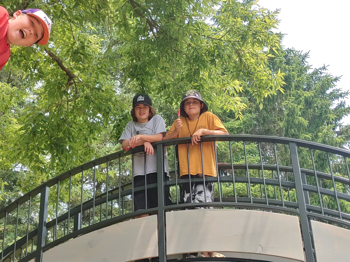 Victoria Wang tweet media