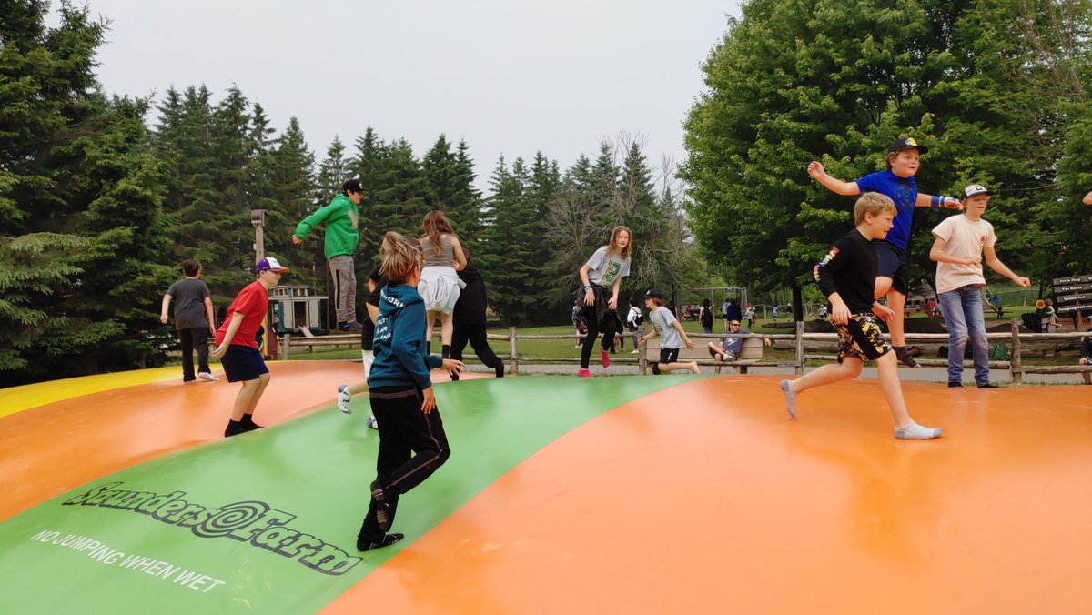 Victoria Wang tweet media