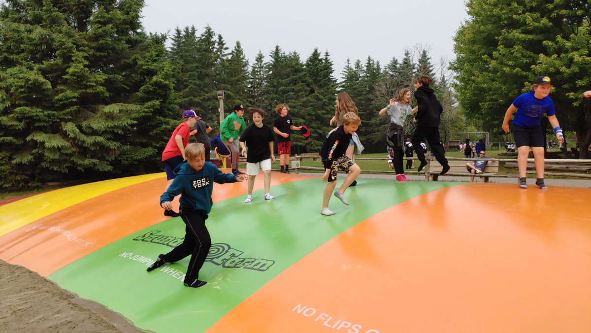 Victoria Wang tweet media