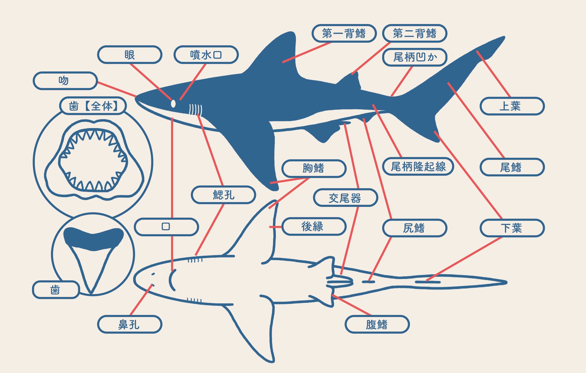 波とサメの油絵 波とサメの油絵 くじらとサメ」原画作品 – HERALBONY