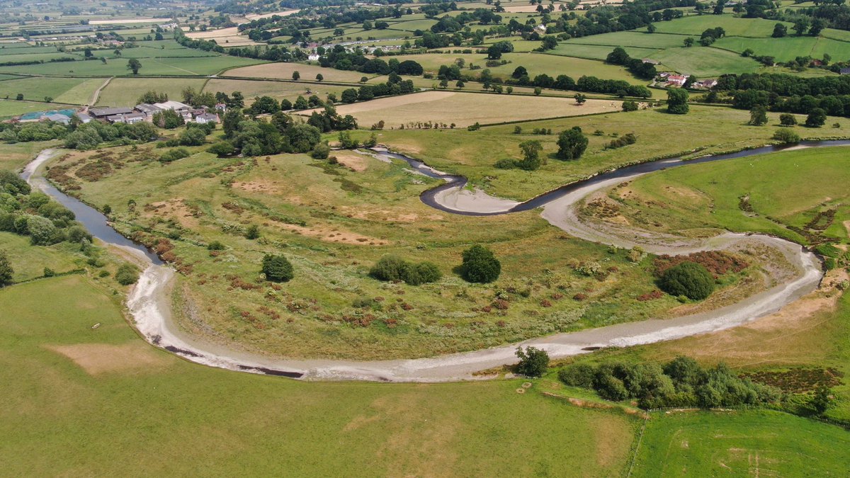 A great drone shot showing the power of #Geomorphology on the Severn GCR From left to right this avulsion (new channel) is >200m from the previous channel and moved course in just 24hrs this winter @WaterNRW is working with the landowner to protect the property and the habitat