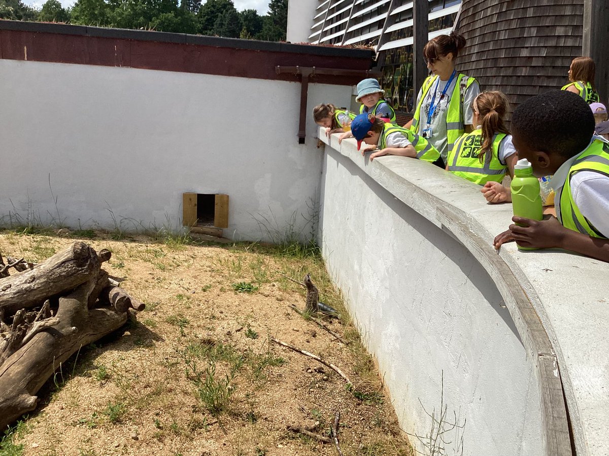IPMATTowngate's tweet photo. A few more from our trip to Arkham Bryan Wildlife &amp; Conservation Park #Class2TPA #outdoorlearningTPA https://t.co/LIMp6mgQrW