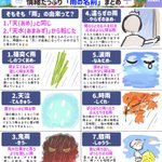 知っていたら雨の日が楽しくなっちゃうかも!いろいろな「雨の名前」のまとめ!