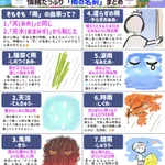 知っていたら雨の日が楽しくなっちゃうかも!いろいろな「雨の名前」のまとめ!