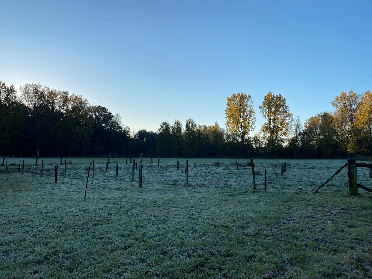 Not a farmer myself - but time to share my land story in the North of France. ⤵️

Some years ago, the owner of the land next to our place passed. The land was under lease and used by a farmer for his cattle. He had taken great care of it and planned on new measures.

#landstories