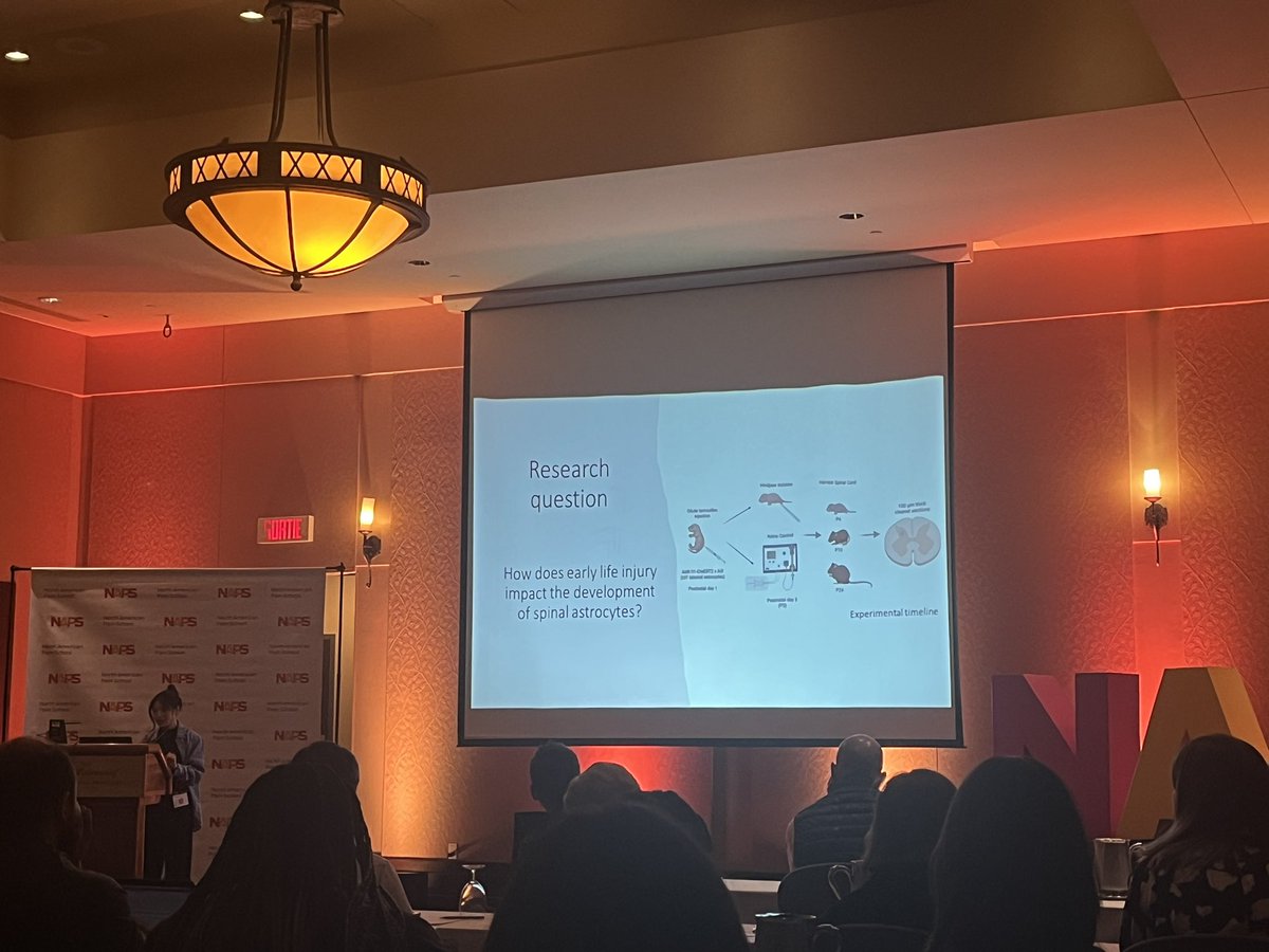 Bukola Mary Ibitoye tweet media