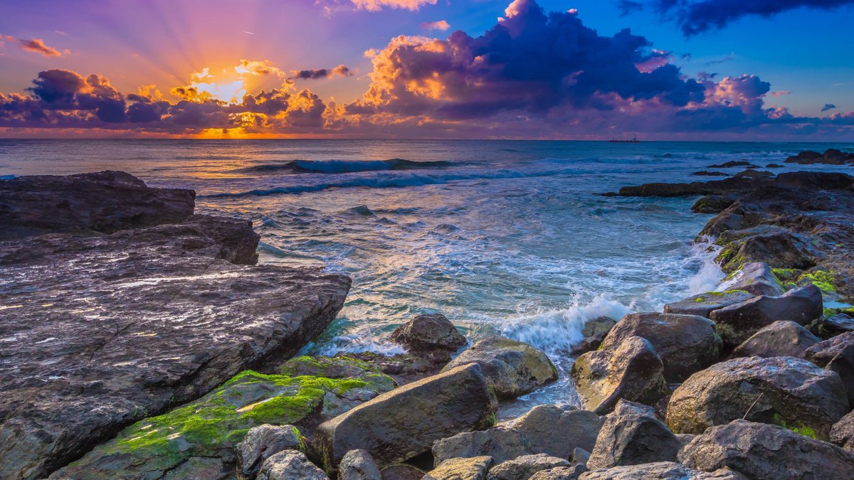 The best things in life are free: love, happiness, and positivity.