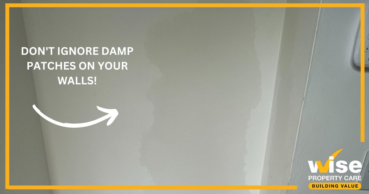 wisepc's tweet photo. Does your property suffer from penetrating damp? If you notice damp patches or suspect a leak, our experts are here to help. 
https://t.co/nmLS7may1s https://t.co/gGDaJvFJWQ
