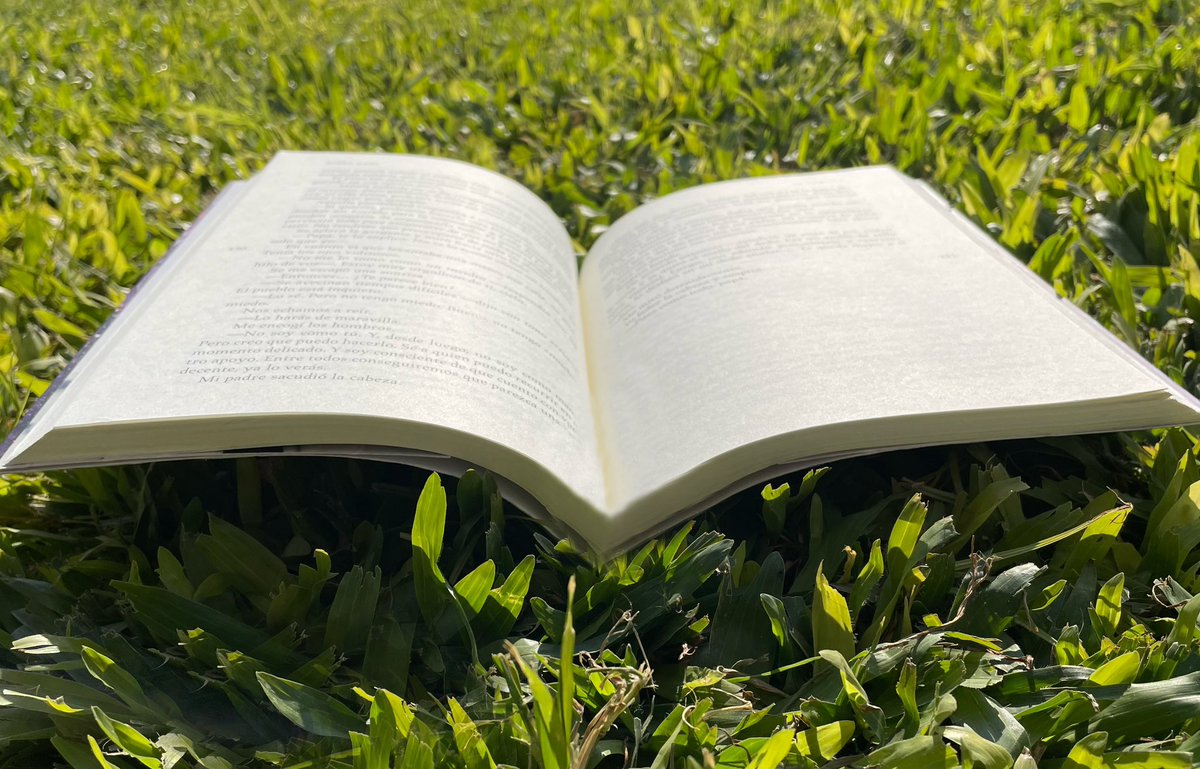 IMGPanoramicas's tweet photo. Imagínense que al leer un libro no existe la opción de volver la página atrás, ¿Con cuánta atención leerían ese libro?
¿A qué piensan que se refiere? 🤔 #ROMA3 #ROMA4 https://t.co/IM1VrBbv8j