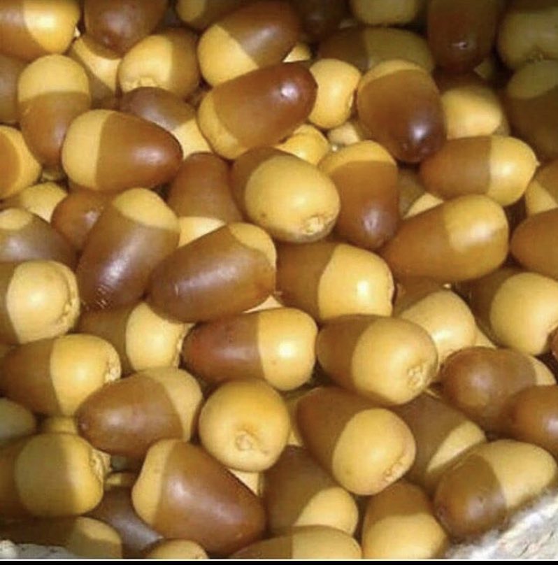 .
وش تسمونه بلهجتكم ❓🤔
.