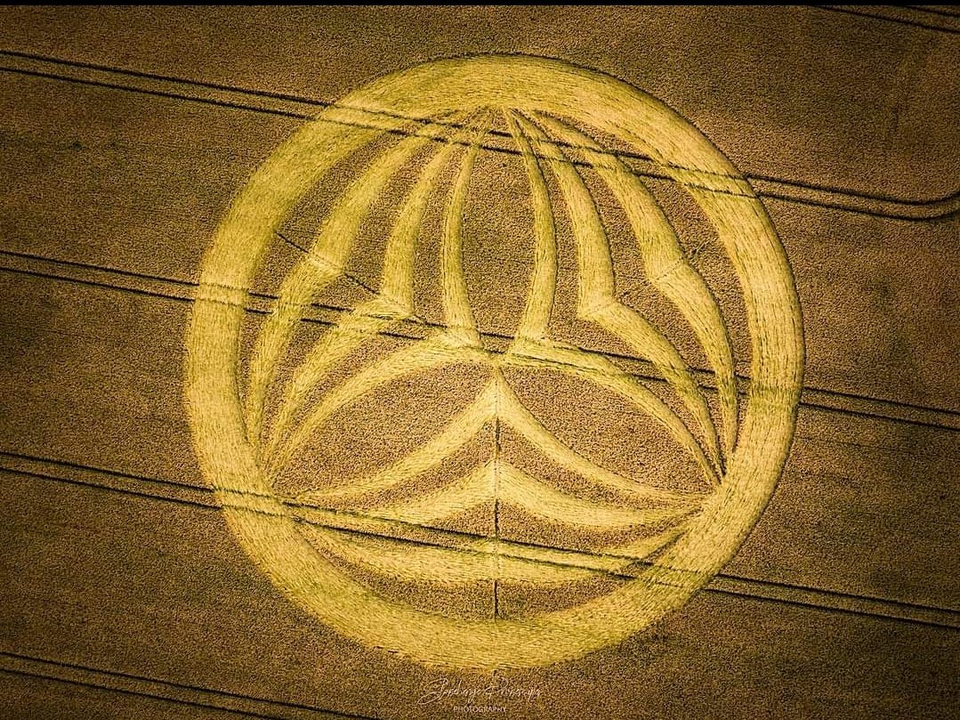 Ripple? Is that you? 🤔 

Crop circle was reported on the 18th June, 2023, at Eastleigh Court, near Bishopstrow,, Wiltshire, UK. photos captured by Nick Bull of Stonehenge Dronescapes Photography.
 cropcircleconnector.com/2023/eastleigh…