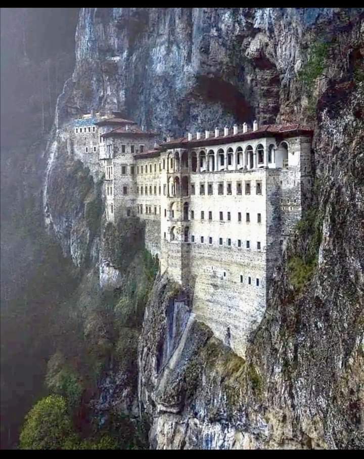 Mary Lewis McRae tweet media