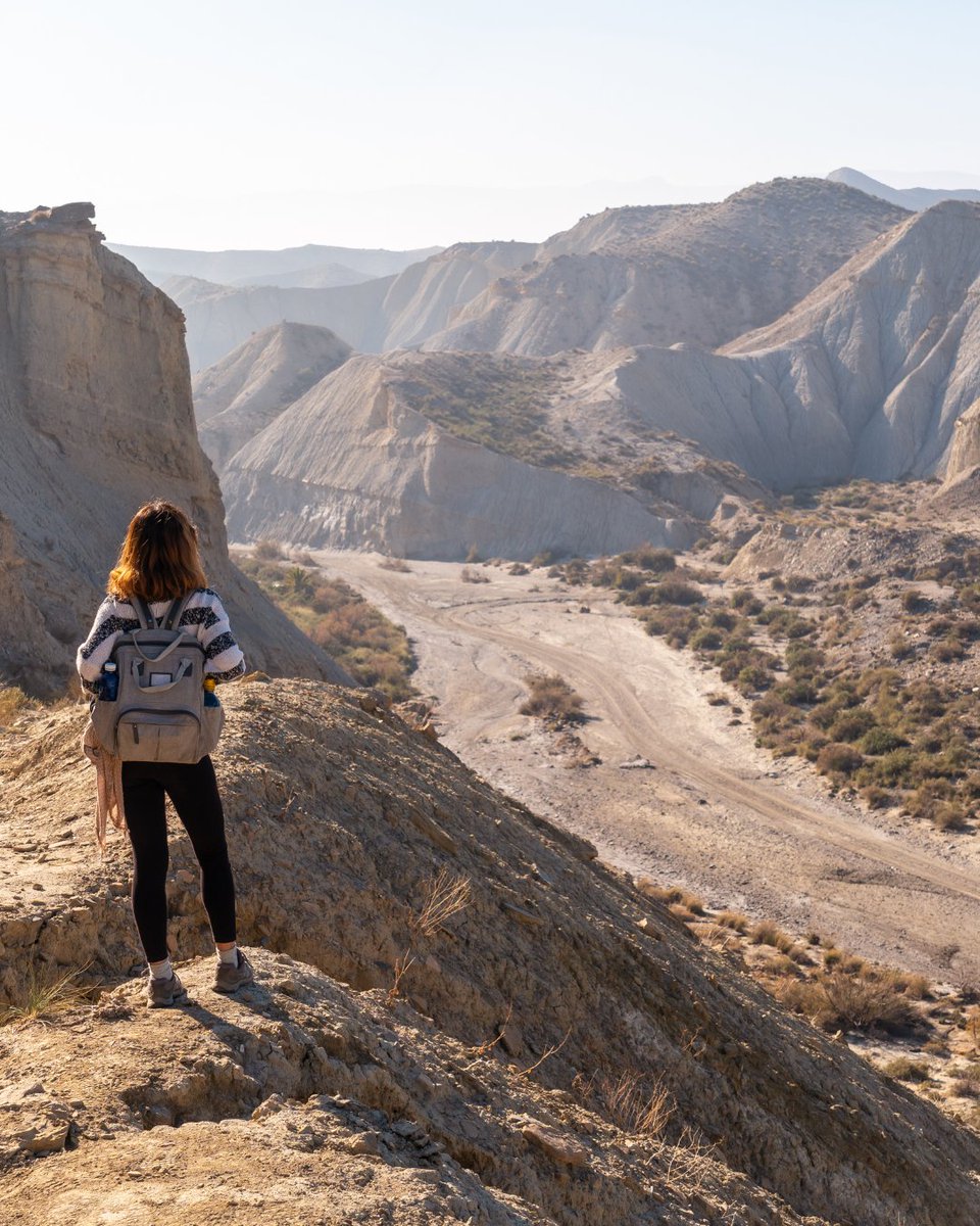 AutocaresRivero's tweet photo. ¡Sumérgete en la maravilla de la naturaleza mientras haces senderismo en el increíble Caminito del Rey! 🌄🌿 En cada paso que des, serás testigo de una belleza que te envolverá. Te invitamos a unirte a nosotros a bordo de nuestros cómodos autobuses. 🚌✨https://t.co/1zGqGkSbnl https://t.co/ofBFG0u4Sm