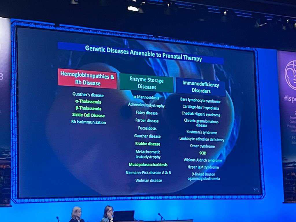 Excellent talk on inducing tolerance for in-utero genetic therapy by @InUteroTherapy at #ISPD2023 in a session chaired by @PrenatalTherapy - “If we don’t understand it better we will never be able to treat it”