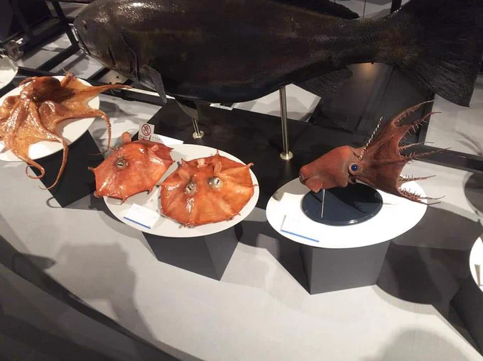 ぎゅんぎゅん。