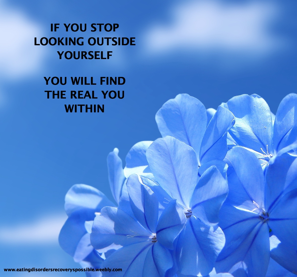 If you stop looking outside yourself you will find the real you within. #anorexia #anxiety #eatingdisorder #recovery #nevergiveup #AlwaysKeepFighting #fibromyalgia #cfsme