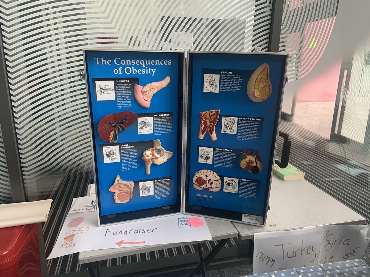 Fantastic display from @SHSCFT Community Learning Disabilty Team for #LDWeek2023. Today we joined @sheffhallamuni and @ArtworksSY to raise awareness of our service and health inequalities. @SimonBarnitt @SalliMidgley @julia_skelding