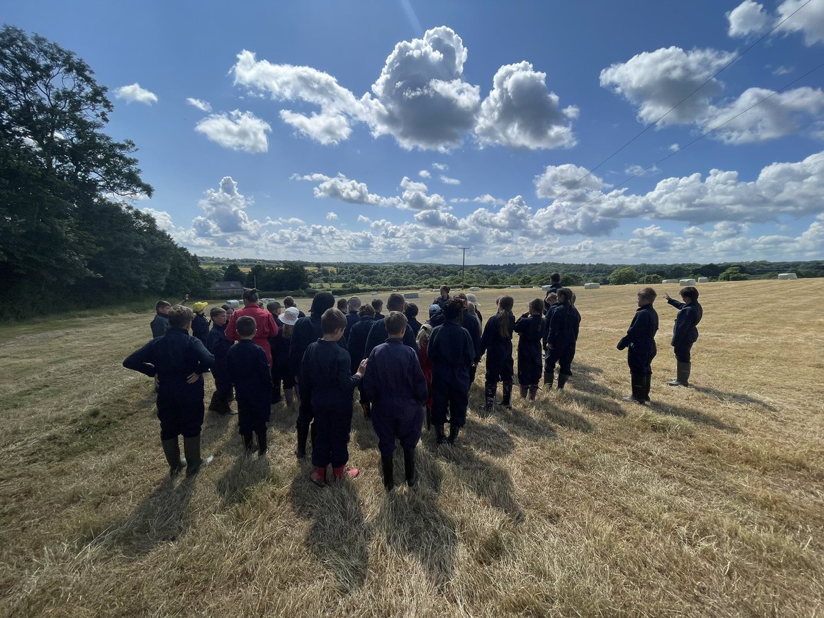 WideySaltram tweet media