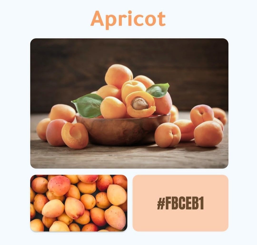 MoodDesign7's tweet image. @MoodDesign7 ألوان رائعة للتصميم #تصميم #تصاميم #تصميمي #ألوان #trend #design #Designer #Designers #COLORS #color #photoshop