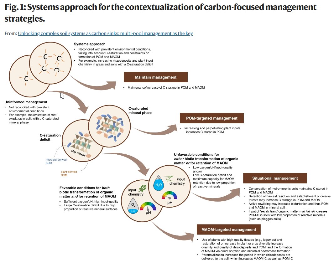Increasing C storage in MAOM is insufficient due to environmentally specific persistent SOM formation. @MartinWiesmeier @CarstenWMueller @castellmj @SoilTUD @GerritAngst show context-dependent management strategies highlighting the importance of POM nature.com/articles/s4146…