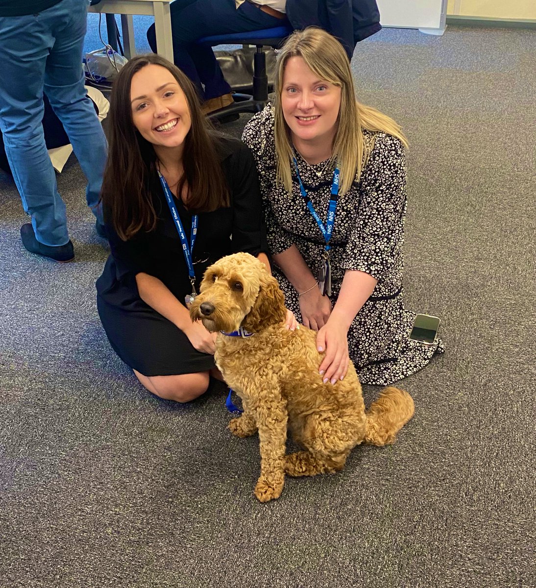 We are feeling a little delirious and running on adrenaline after many long hours over the past week. Alfie lifted our spirits this afternoon AND our Outpatient areas and Theatres are now live, wahoo 🤩🐶🚀 #BigSwitchOn @_eLancs