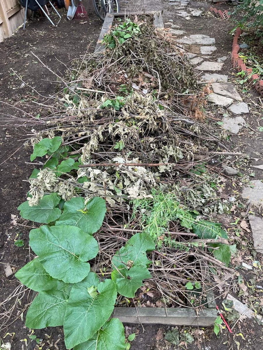 KitchenerJunk's tweet image. Does your backyard or garden need a little help ? 

We can clean up all the debris  &amp;amp; have you ready for your #backyardgoals :) 

Take back your time ! 

#wehauljunk #backyardcleanup #yardwork #yardcleanup 
#junkremovalnearme #junkpickup #ontariojunk 
#kitchenerwaterloocambridge