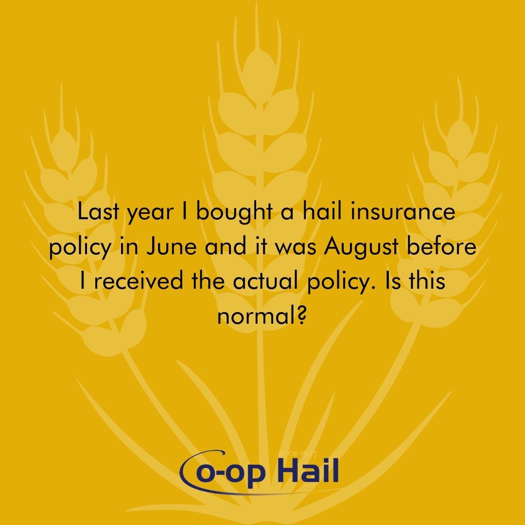 coophail's tweet photo. Usually, you will receive your policy much sooner than that. If your policy is not received within a reasonable period of time, contact your agent. Visit https://t.co/G8Ctig2utY to learn more! 😊 https://t.co/GAnW23QWL9