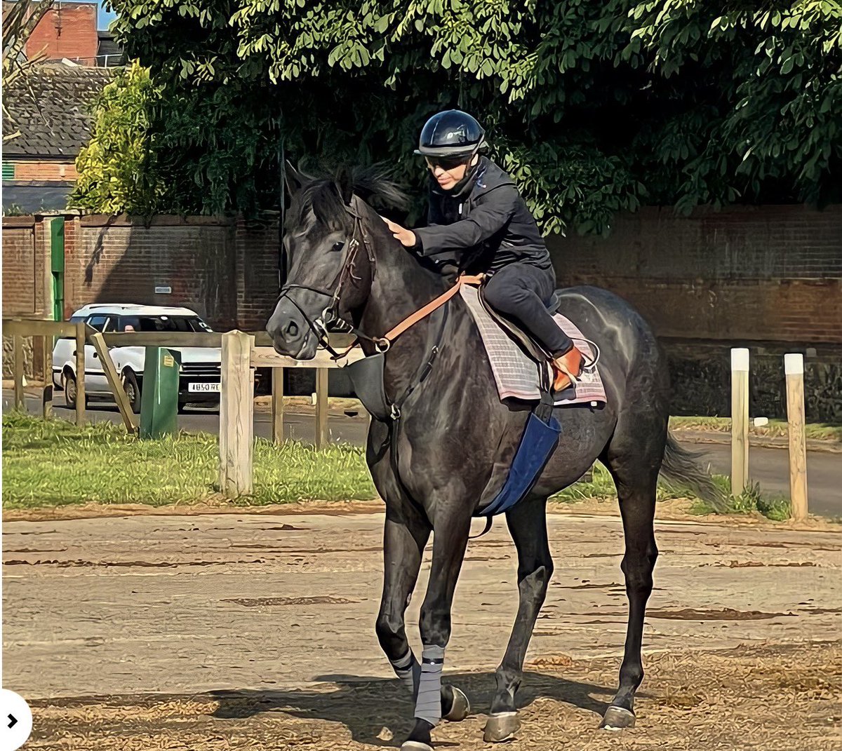 Rauldasilva100's tweet photo. #horseracing #warrenhill #newmaket #racing #sports #horseracinguk #horsesintraining #horseriding #RDS #🙏 #kingofsteel #🏇🏼 https://t.co/XsX48prqgC
