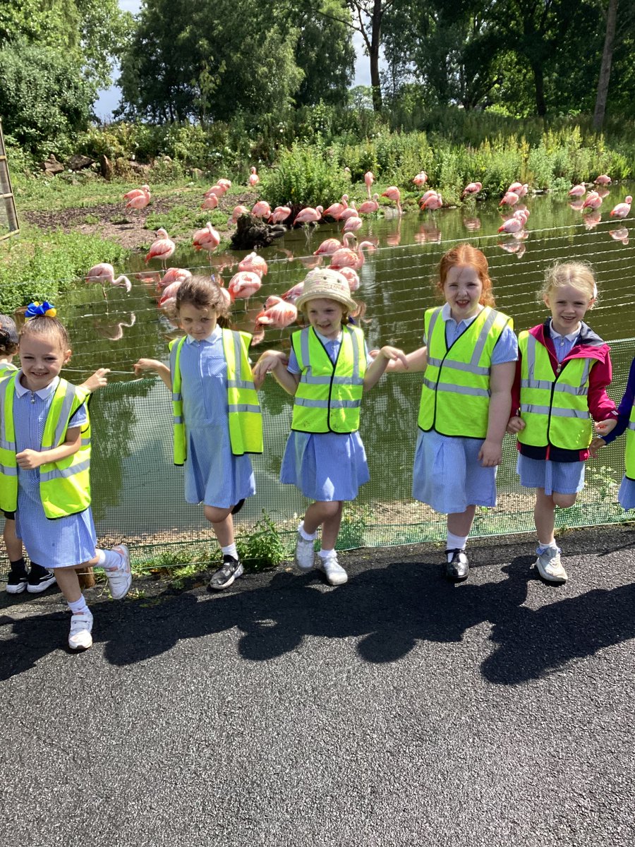 year1STP's tweet photo. We had such a fun school trip to Martin Mere. We went pond dipping, spotted some different birds, looked at different types of plants and finished the day off with a play in the park #ScienceatSTP https://t.co/zvZeEx87yF