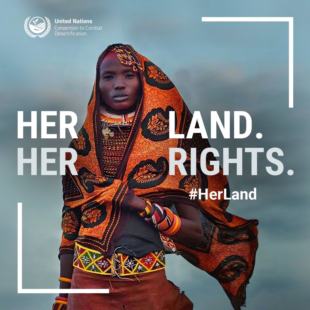 United Nations Geneva tweet media