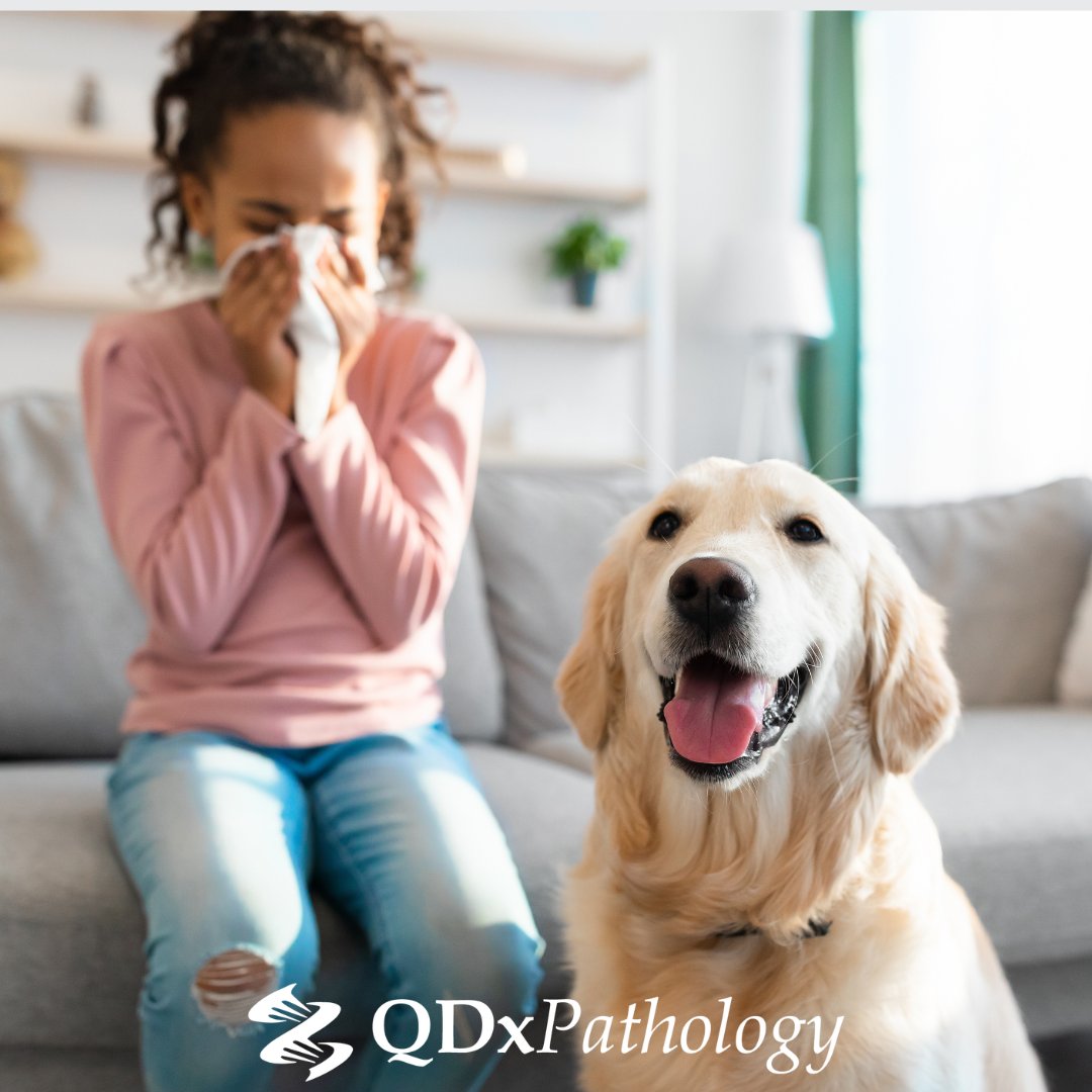 QDxPath's tweet image. 🌍🤧 Happy World Allergy Day! 🤧🌍

This week is dedicated to raising awareness about #allergies and we are excited to introduce QDX's new Respiratory Panels. Visit our website to learn more: qdxpath.com/test-directory…
