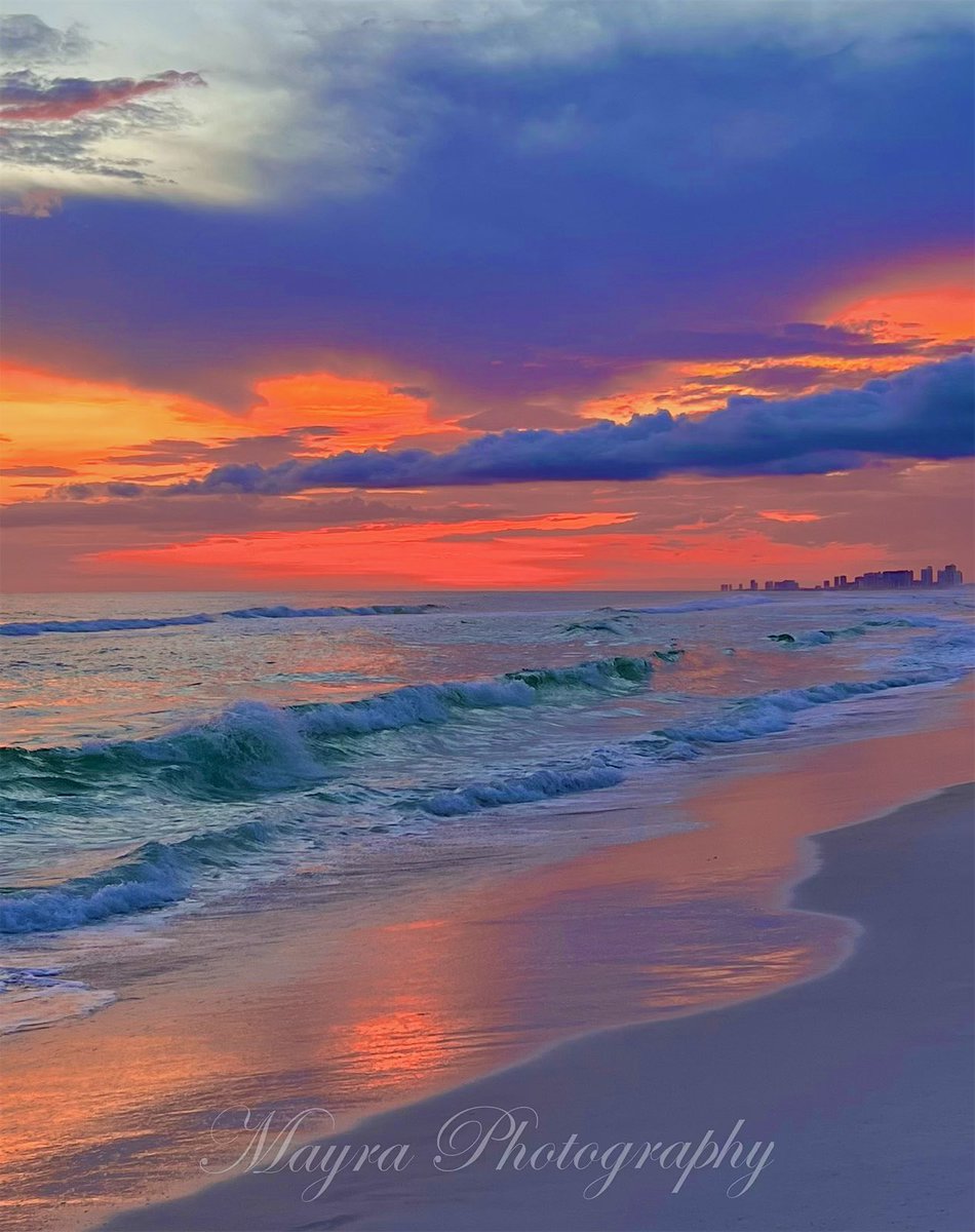 LePapillonBlu2's tweet photo. It costs zero $ to retweet my photography, thank you!  🧡 https://t.co/zrBBx70IPf