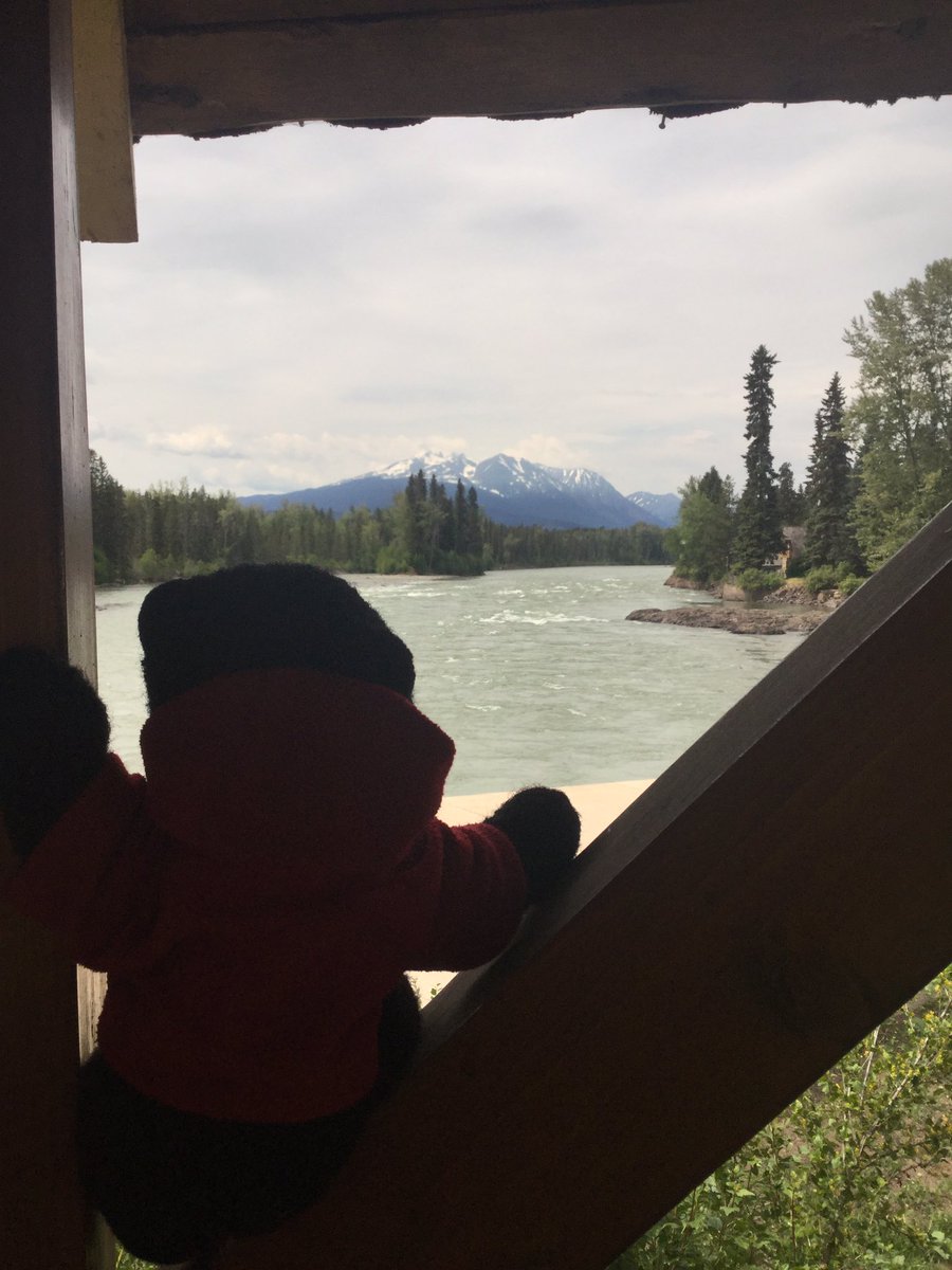 BestAlertBert's tweet image. Almost five years ago I was best man/bear at a wedding here...